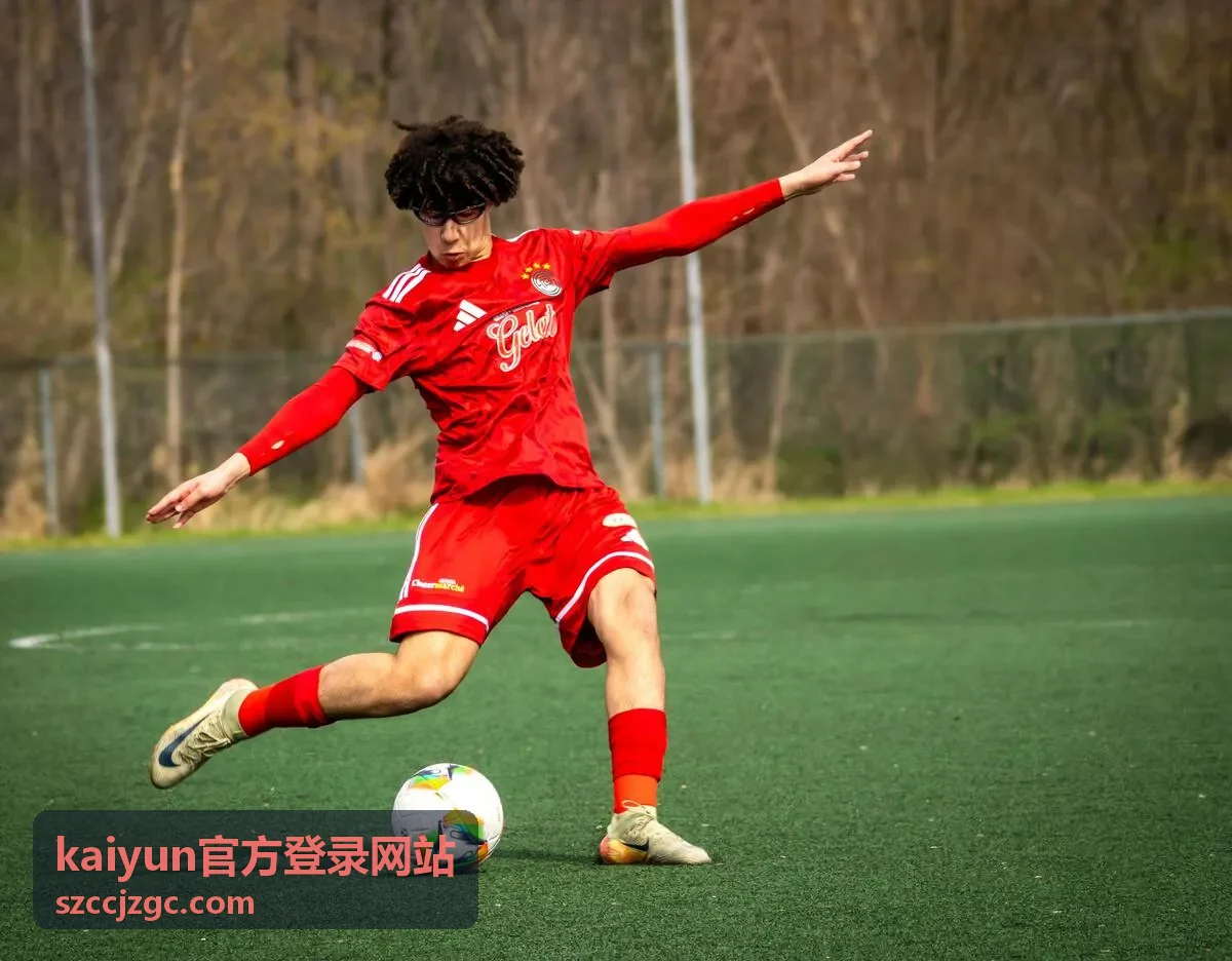 kaiyun官方登录网站在电脑端访问的操作示意