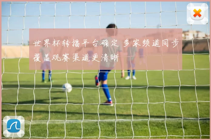 世界杯转播平台确定 多家频道同步覆盖观赛渠道更清晰