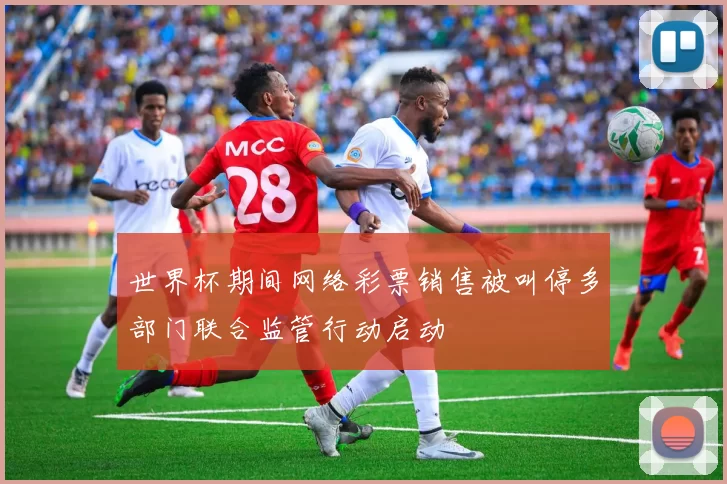 世界杯期间网络彩票销售被叫停多部门联合监管行动启动