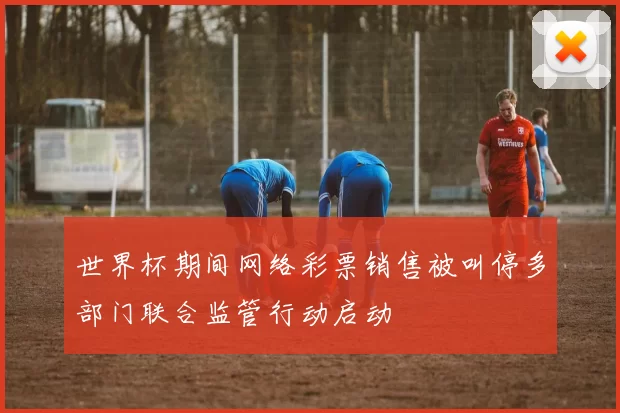 世界杯期间网络彩票销售被叫停多部门联合监管行动启动