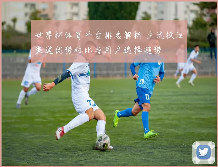 世界杯体育平台排名解析 主流投注渠道优势对比与用户选择趋势