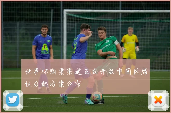 世界杯购票渠道正式开放中国区席位分配方案公布