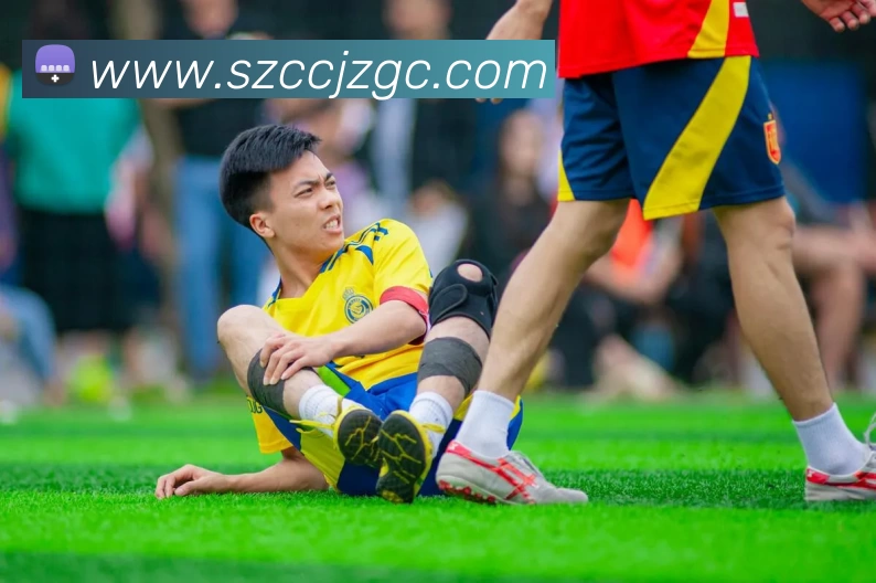 星空网官方网址入口品牌故事